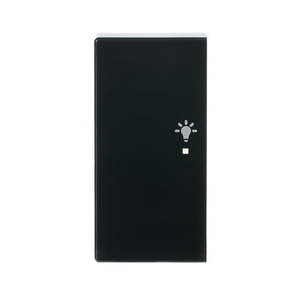 Busch-Jaeger Wippe 2-f li, Symbol Licht anthrazit 6231-21-81